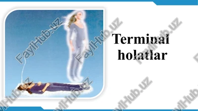 terminalholatlar — PPTX