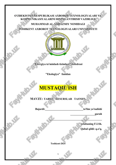 tabiiy resurslar tasnifi — DOCX