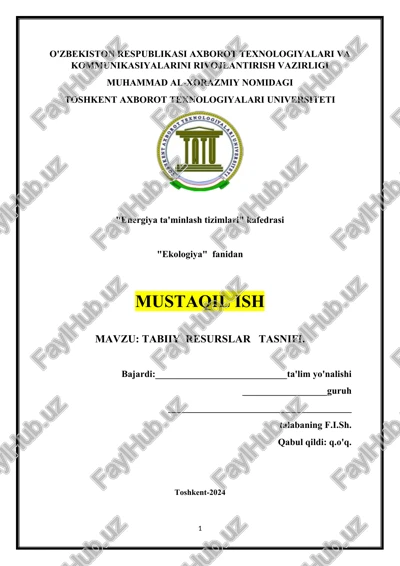 tabiiy resurslar tasnifi — DOCX
