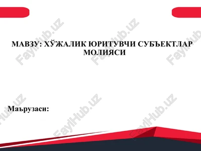 xo'jalik yurituvchi sub'ektlar moliyasi — PPT