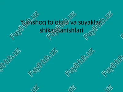 yumshoq toʻqimavasuyaklar — PPTX