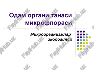 odam organi tanasi mikroflorasi — PPT