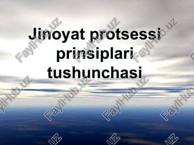 jinoyat protsessi prinsiplari tushunchasi — PPTX