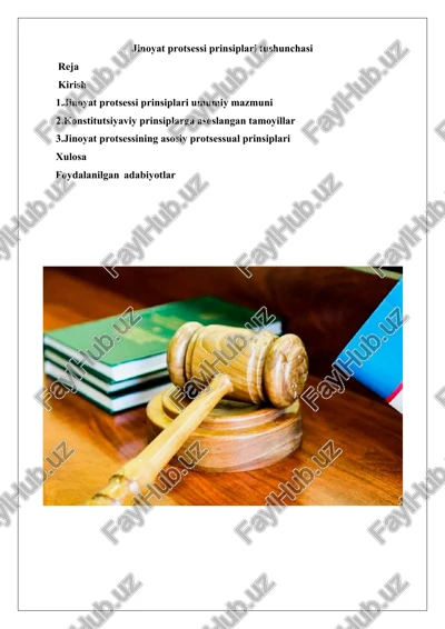 jinoyat protsessi prinsiplari tushunchasi — DOCX