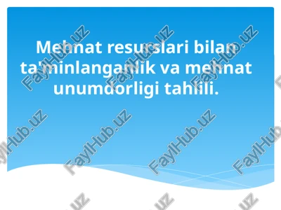 mehnat resurslari bilan ta'minlanganlik va mehnat unumdorligi tahlili — PPTX