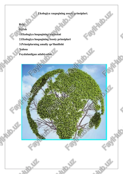 ekologiya huquqining asosiy prinsiplari — DOCX