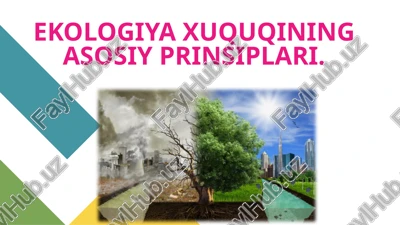 ekologiya xuquqining asosiy prinsiplari — PPTX