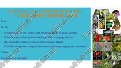o'simlik va hayvonot dunyosini oyektlaridan foydalanish — PPTX