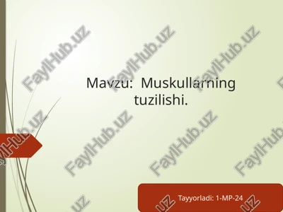 muskullarning tuzilishi — PPTX