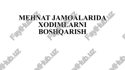 mehnat jamoalaridaxodimlarniboshqarish — PPTX