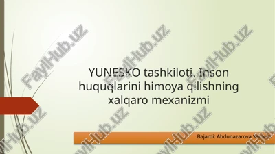 inson huquqlarini himoya qilishning xalqaro mexanizmi — PPTX