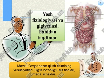 ovqat hazm qilish tizimining xususiyatlari — PPTX