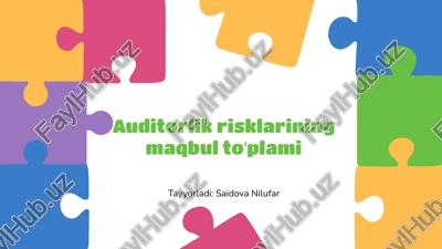 auditorlik risklarining maqbul toʻplami — PPTX