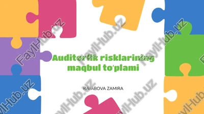 auditorlik risklarining maqbul toʻplami — PPTX
