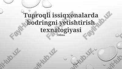 tuproqli issiqxonalarda bodringni yetishtirish texnalogiyasi — PPTX