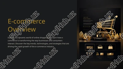 e-commerce overview — PPTX