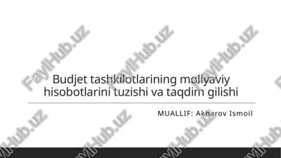 byudjet tashkilotlari va moliyaviy hisobotlar — PPTX