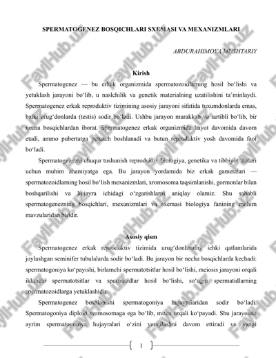 spermatogenez bosqichlari sxemasi va mexanizmlari — PDF