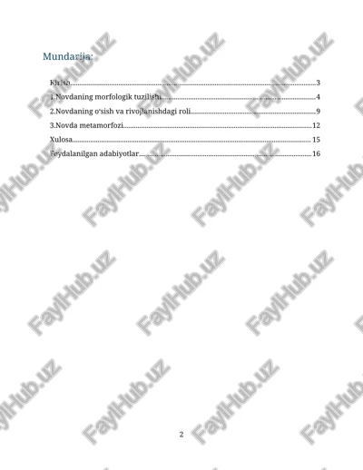 novdaning morfologik tuzilishi — DOCX