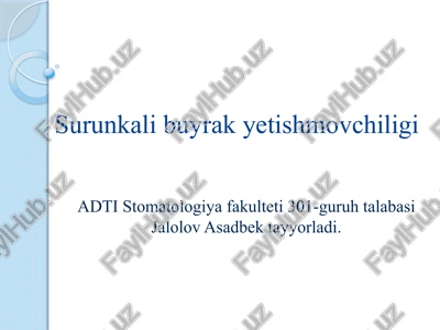 surunkali buyrak yetishmovchiligi — PPTX
