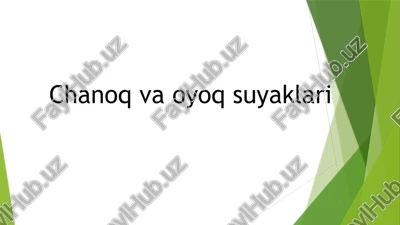 chanoqvaoyoqsuyaklari — PPTX