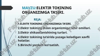 elektr tokining organizimga ta’siri — PPTX