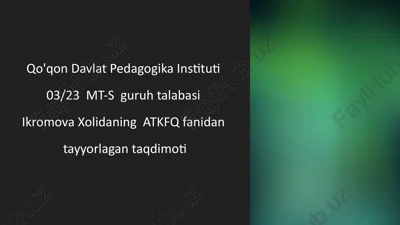 kompyuter grafikasi turlari — PPTX