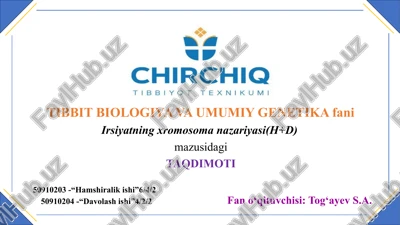 irsiyatning xromosoma nazariyasi — PPTX