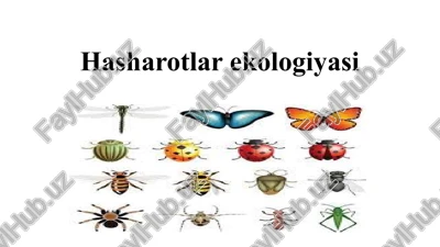 hasharotlar ekologiyasi — PPTX