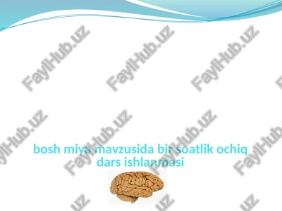 boshmiya — PPTX