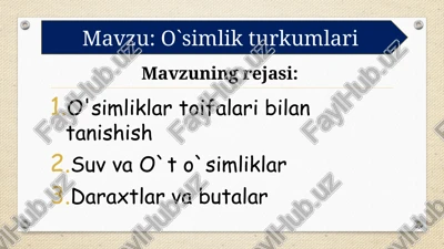 o'simliklartoifalari bilan tanishish — PPTX