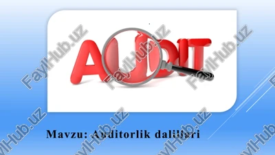 auditorlikdalillari — PPTX