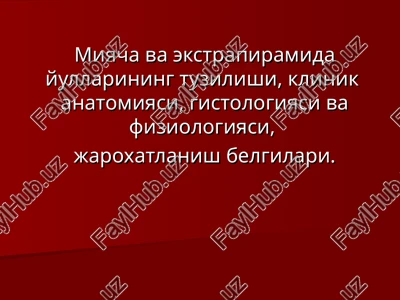 miyacha va ekstrapiramida yullarining tuzilishi — PPT