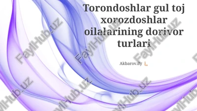 asteraceae oilasi haqida umumiy ma'lumot — PPTX