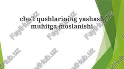 cho'l qushlarining yashash muhitga moslanishi — PPTX