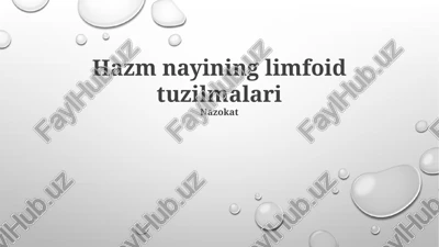 hazm nayining limfoid tuzilmalari — PPTX