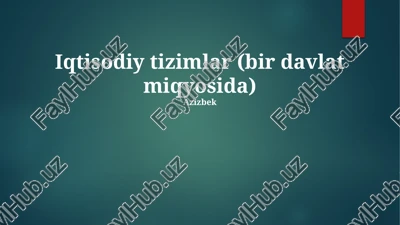 iqtisodiy tizimlar (bir davlat miqyosida) — PPTX