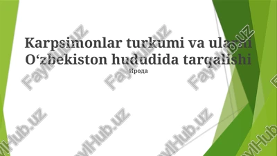 karpsimonlar turkumi va ularni o‘zbekiston hududida tarqalishi — PPTX
