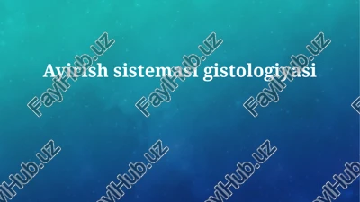 ayirish sistemasi gistologiyasi — PPTX