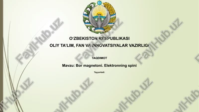 bormagnetoni.elektronningspini — PPTX