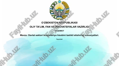 davlat sektoridagi buxgalteriya hisobi — PPTX