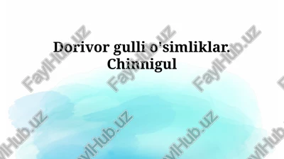chinnigullar — PPTX