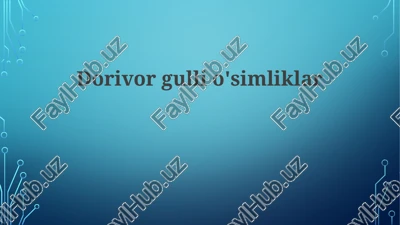 dorivor gulli o'simliklar — PPTX
