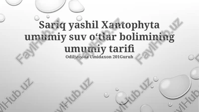 sariq yashil xantophyta umumiy suv oʻtlar bolimining umumiy tarifi — PPTX
