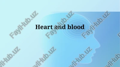 the cardiovascular system — PPTX