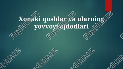 xonaki qushlar va ularning yovvoyi ajdodlari — PPTX
