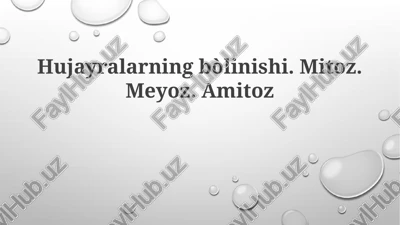 hujayralarning bòlinishi — PPTX