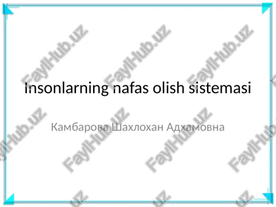 insonlarning nafas olish sistemasi — PPTX
