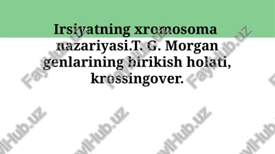 xromosoma meros nazariyasi — PPTX