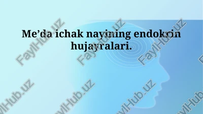 oshqozon-ichak traktining endokrin hujayralari — PPTX